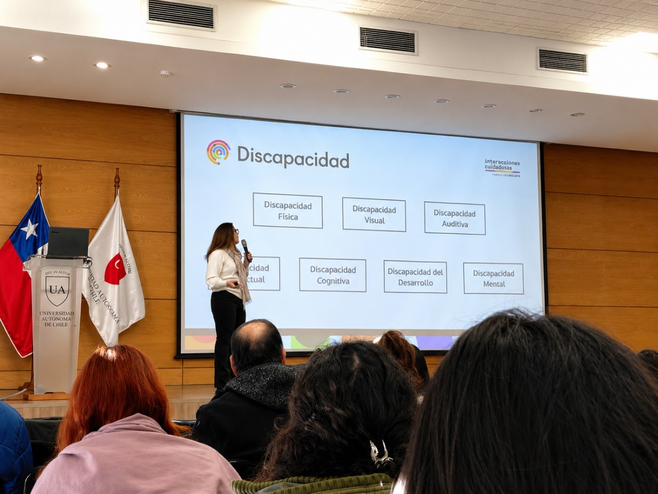 Seminario sobre discapacidad y protección especializada