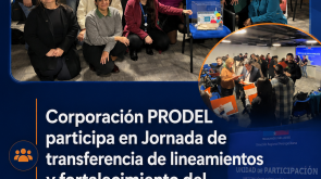 Participación en Jornada de Transferencia de Lineamientos y Fortalecimiento del Enfoque de Participación SPE - Portada