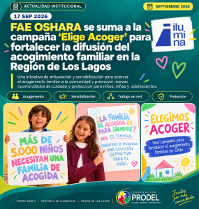 FAE OSHARA se suma a la campaña “Elige Acoger” - Portada